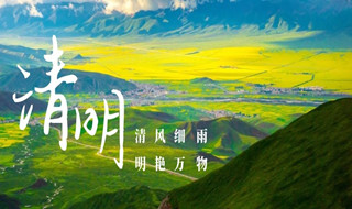 清明节 | 清风细雨，明艳万物